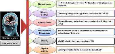 Nanomedicine: A Promising Way to Manage Alzheimer’s Disease